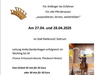 Lehrgang Working Equitation 27. bis 28.04.2025