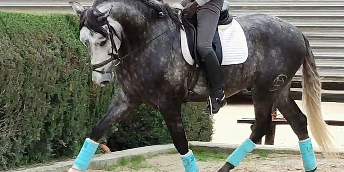 argentino06