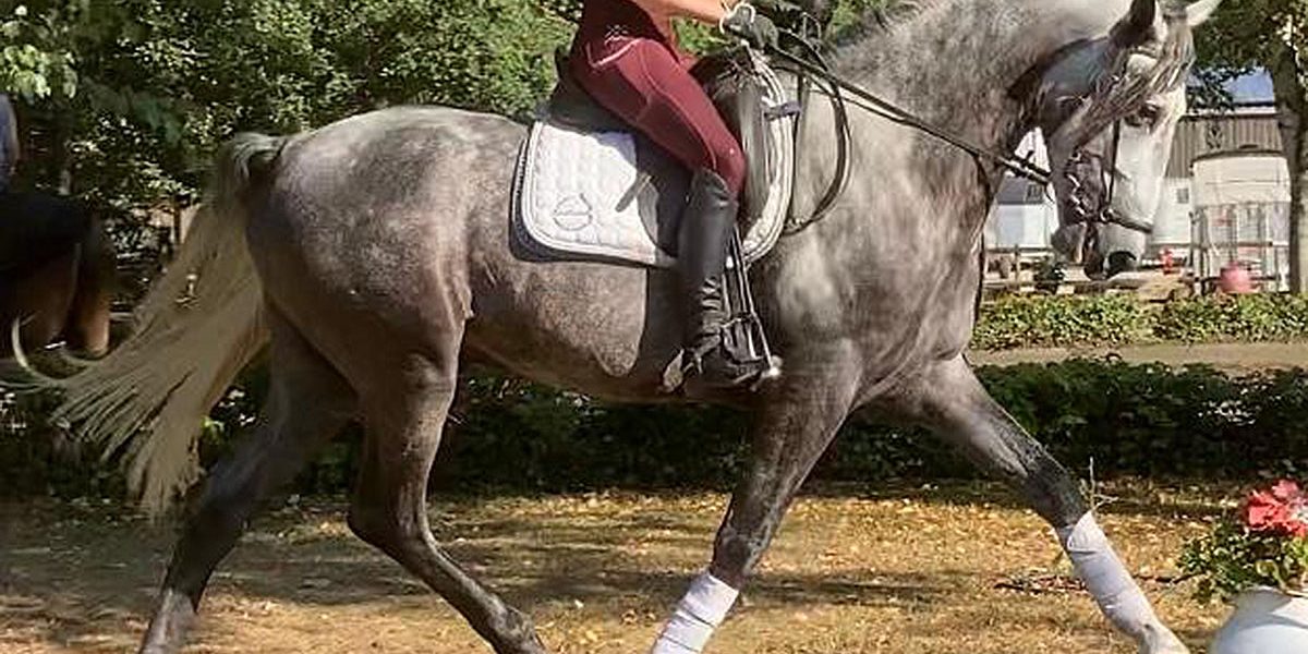 argentino10