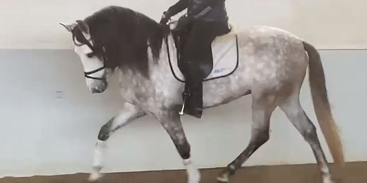 capitan05neu