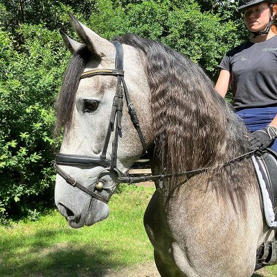 Promising 4 year old PRE
