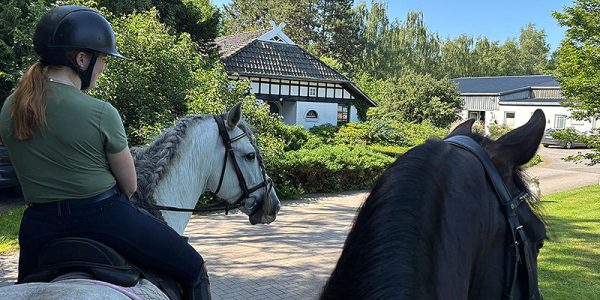 Hacking is an important part of horse training