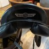 Dressurstar Horsestar Champion von hinten