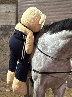 Teddybär auf Pferd