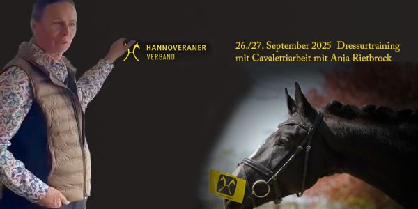 Dressurtraining mit Anja Rietbrock im Ausbildungszentrum Verden
