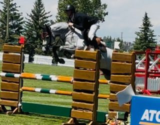 Canada Cup Derby bei Spruce Meadows in Calgary