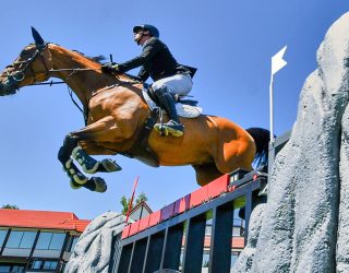 Canada Cup Derby bei Spruce Meadows in Calgary