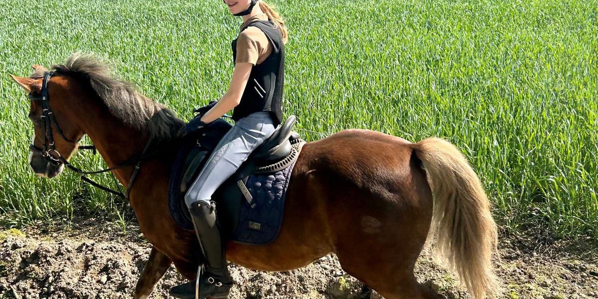 Verkaufspony Pocco für Dressur und Springen mit Kind im Gelände