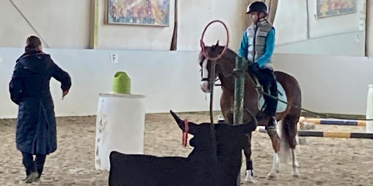 Verkaufspony Pocco mit Kind bei einem Working Equitation Kurs
