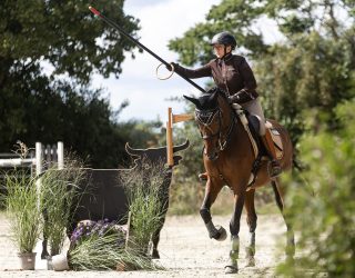 Equitación de trabajo con el antiguo caballo de venta Atributo