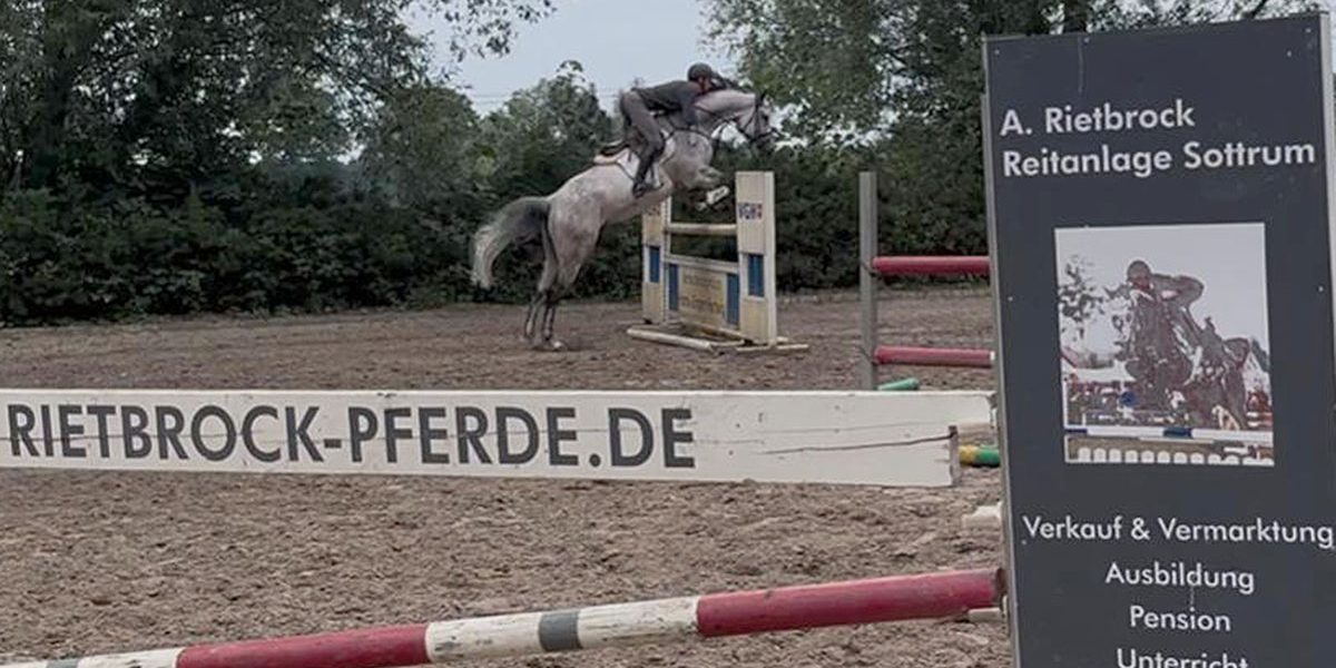 springer_zehn03
