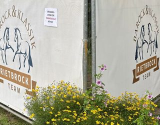 WM der jungen Dressurpferde Verden