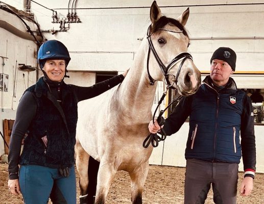 Buckskin stallion “Just Champagne” on his way to Hanoverian licensing