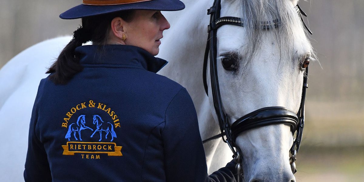 PRE Schimmel 13 Jahre Kopffoto