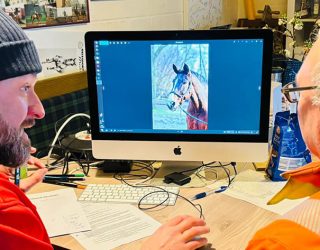 Tolles mit unseren Stall- und Verkaufspferden