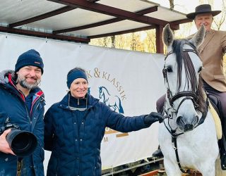 Tolles mit unseren Stall- und Verkaufspferden