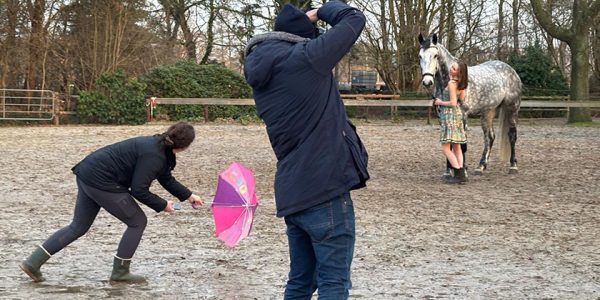 Tolles mit unseren Stall- und Verkaufspferden