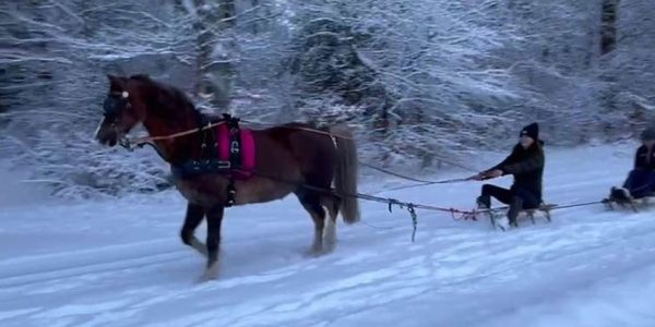 Winter Service at Barockmeetsclassic.com