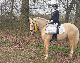 Ein gelungener Start in die Turniersaison 2026 - Stall Rietbrock