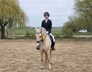 Ein gelungener Start in die Turniersaison 2026 - Stall Rietbrock