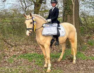 Ein gelungener Start in die Turniersaison 2026 - Stall Rietbrock