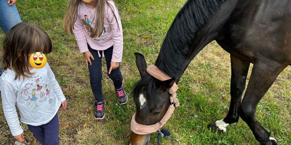 Wieder zwei Kinderherzen glücklich gemacht