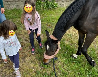 Wieder zwei Kinderherzen glücklich gemacht